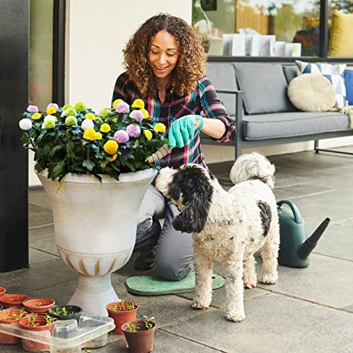 The 14 Best Worth Planters of 2024 [Verified] Cherry Picks