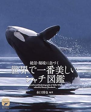 Amazon.co.jp: 大海に響くコール (3) (ゲッサン少年サンデーコミックス