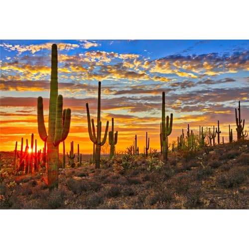 Laeacco 12x8ft Desert Scenery Backdrop Desert Gobi Sunset Prickly Cactus Saguaro Western Wilderness Photography Background Outdoor Travel Adventure Cowboys Children Adult Portrait Photo Booth Props