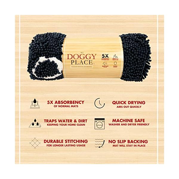 Dirt and Water Absorbent Mat