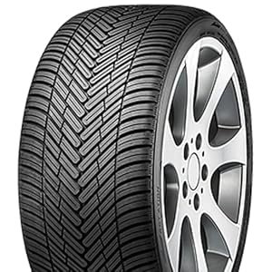 FORTUNA - 225/45 R17 TL 94W ECOPLUS2 4S XL BSW M+S 3PMSF - Ganzjahresreifen