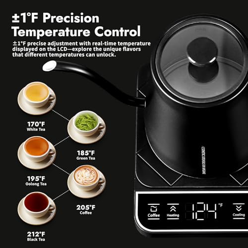 Gooseneck Electric Kettle Stainless Steel 27oz Temperature Control Pour Over Coffee and Tea Black
| 27oz Electric Kettl