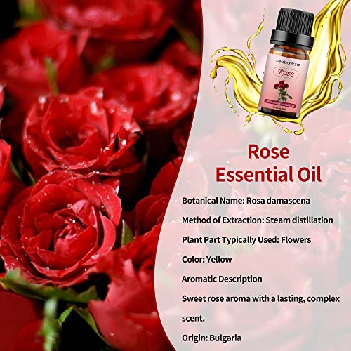 Rose Essential Oil Sets Rose Fragrance Oil Rose Essential Oil Set 10Ml/Bottle - 100% Pure Rose Essential Oils For Candle Making (3-Pack Rose) #TOP1