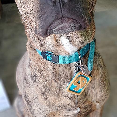 Scooby Doo Dog Tag Keychain