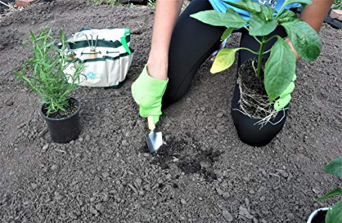 Kit de herramientas para jardinería para niños miniatura 5