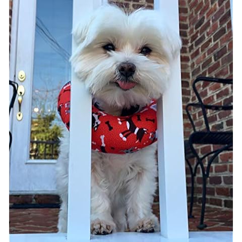 Puppy Bumpers Red Dog (Up to 10") Cover