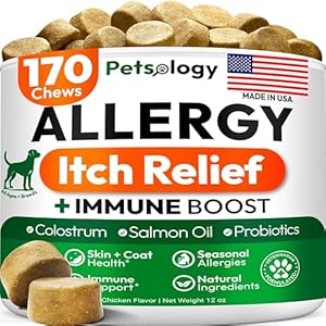 Dog Allergy Relief Chews – 170 Dog Allergy Chews – Itch Relief for Dogs – Omega 3 Fish Oil, Probiotics for Itchy Skin & Hot Spots Allergies, Paw Licking – Dry Skin & Coat Supplement – Immune Health