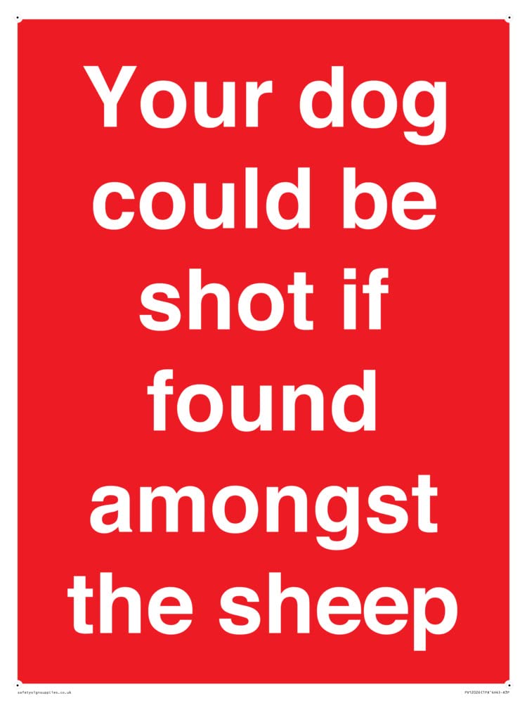 Your dog could be shot if found amongst the sheep Sign - 300x400mm - A3P