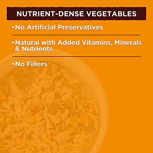 Nature's Recipe Vegetarian Healthy Skin Wet Dog Food #TOP17