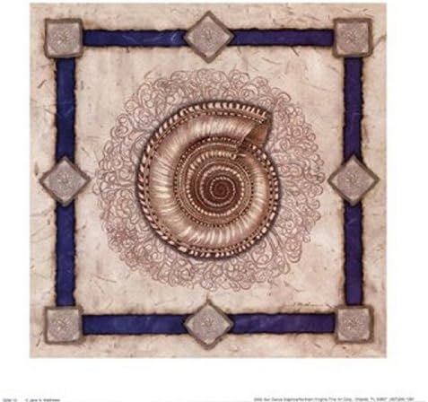 Amazon.com: Solarium Shell - Poster by Jane A. Matthews (10x10): Prints ...