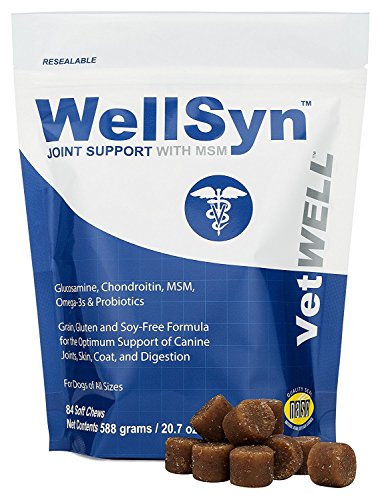 VetWELL Glucosamine Joint Supplements for Dogs - with Chondroitin, MSM, Omega 3s