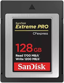 Amazon.com: SanDisk Extreme PRO 128GB CFexpress Type-B Memory Card