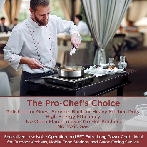 Induction Cooktop Double Burner Portable