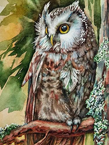 POLMK Rompecabezas de 3000 Piezas para adultosbúho-3000Piezas Rompecabezas de Madera para Adultos y niños, decoración del hogar o Kits de Modelos para la Familia Rompecabezas de Gran Formato