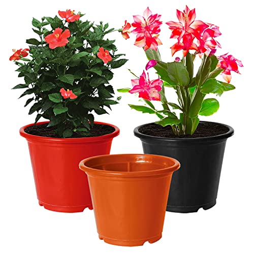 Image of Kuber Industries Durable Plastic Flower Pot|Gamla for Indoor Home Decor & Outdoor Balcony,Garden,6 inchx5 inch,Pack of 3 (Red,Black,Orange)