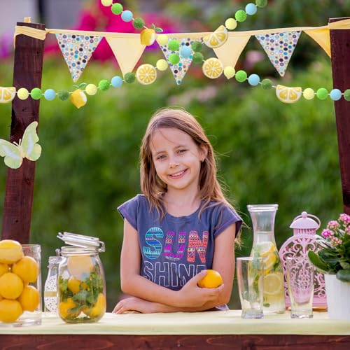 Image of JarThenaAMCS Summer Felt Banner 3D Yellow Green Blue Lemon Pom Ball Garland No DIY Required Bunting for Party Supplies Hanging Decoration