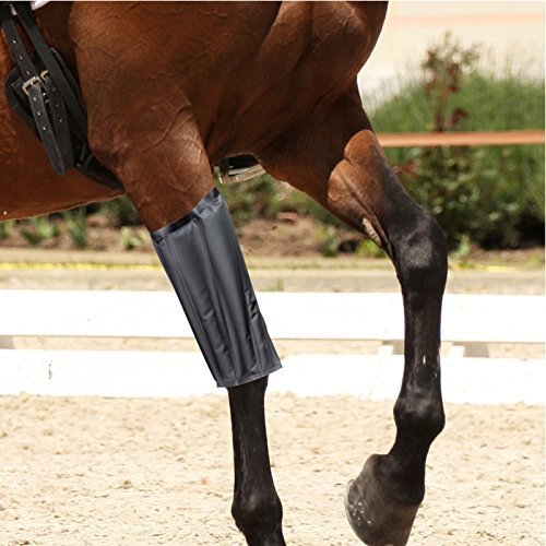 Sohler By Eurotrade W - Rodillera de Caballo con Soporte para rótula, Color Negro