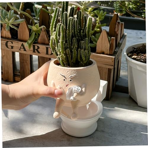 Pots jardin pour intérieur et extérieur mini pot de fleurs succulentes