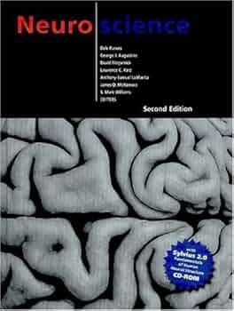 洋書 Duvernoy The Human Brain Second edition 洋書 Duvernoy The