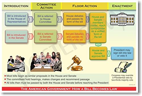 American Government: A Bill Becomes Law - NEW Classroom Poster