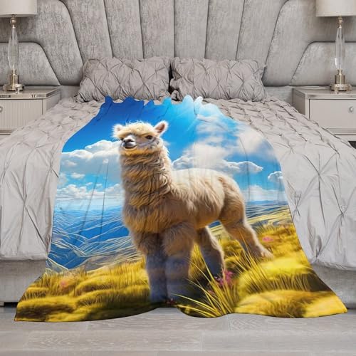 Couvertures de canapé alpaga impression 3D flannel plaid lit 180x200