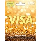 Visa Physical Gift Card $100 (plus $5.95 Purchase Fee)