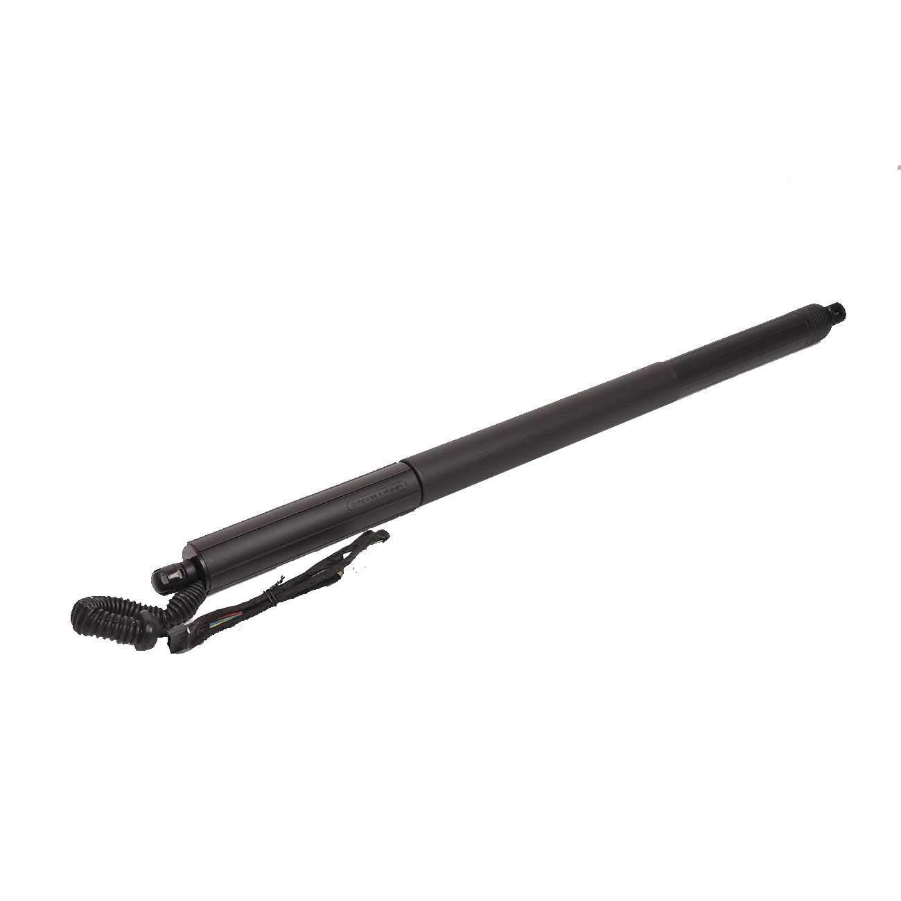 Amazon.com: Bapmic 51247232003 Hatch Liftgate Tailgate Lift 