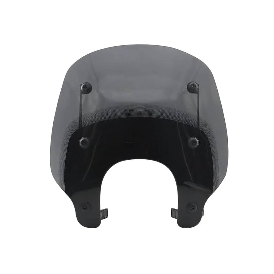 Rさん専用 せんよう 専用品 ⭐︎さん専用 Professor Severus Snape 75953