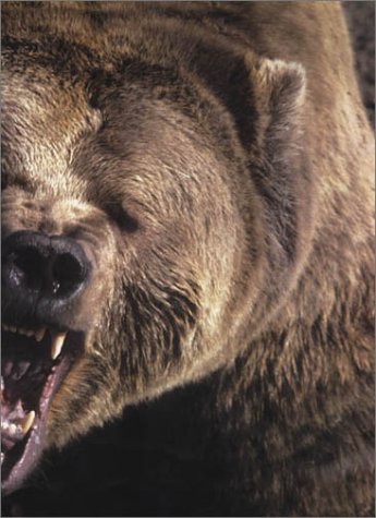 Animal: The Definitive Visual Guide to the World's Wildlife - Image 9