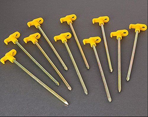 Fiamma 98655-349 - Set di 10 Chiodi da Terra