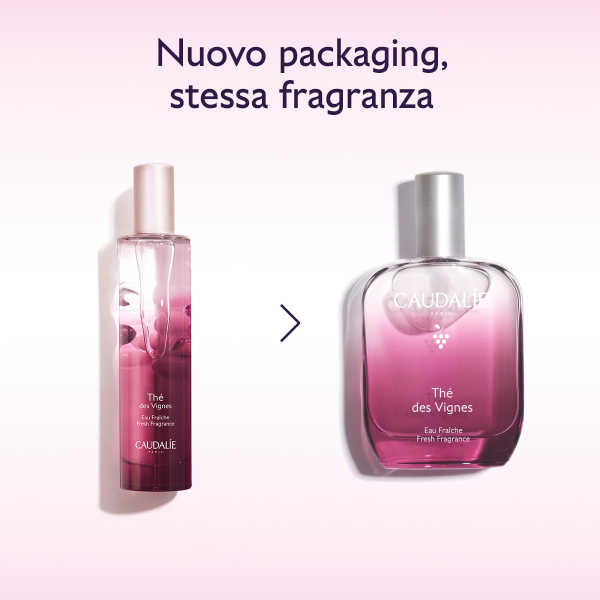 Caudalie Acqua Profumata Thé des Vignes – Fragranza Dolce e Sensuale, Note di Zenzero Neroli e Muschio Bianco, 92% Ingredienti di Origine Naturale, Senza Coloranti, Vegano, 50 mL