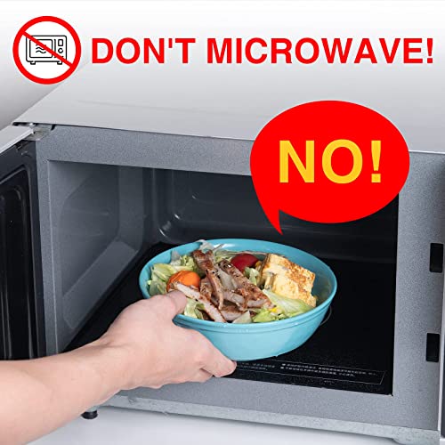 Tp 12-Piece Dinnerware Set, Melamine Dishes Set With Bowls And Plates, Non-Breakable Lightweight Dinner Service For 4, Teal #TOP5