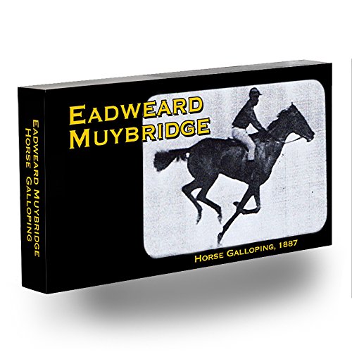 Fliptomania Muybridge Horse Flipbook