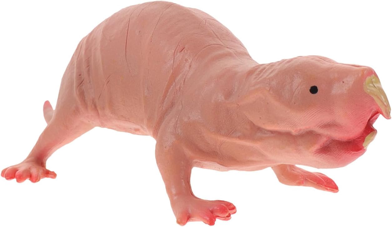 DECHOUS Naked Mole Rat Figure Simulated Mole Model Animal Modeling Craft Small Figurine Ornament for Desk Bookcase Flower Pot Home Decor 3.54 X 1.57 X 1.18 in