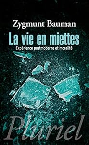 Book's Cover of La vie en miettes: Expérience postmoderne et moralité