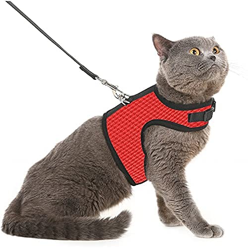 Pet Guard Combo of Red Cat Harness with Black Leash, Adjustable Cat Harness Leash. (Large, Red) (B09HKRB9DK) Amazon Price History, Amazon Price Tracker