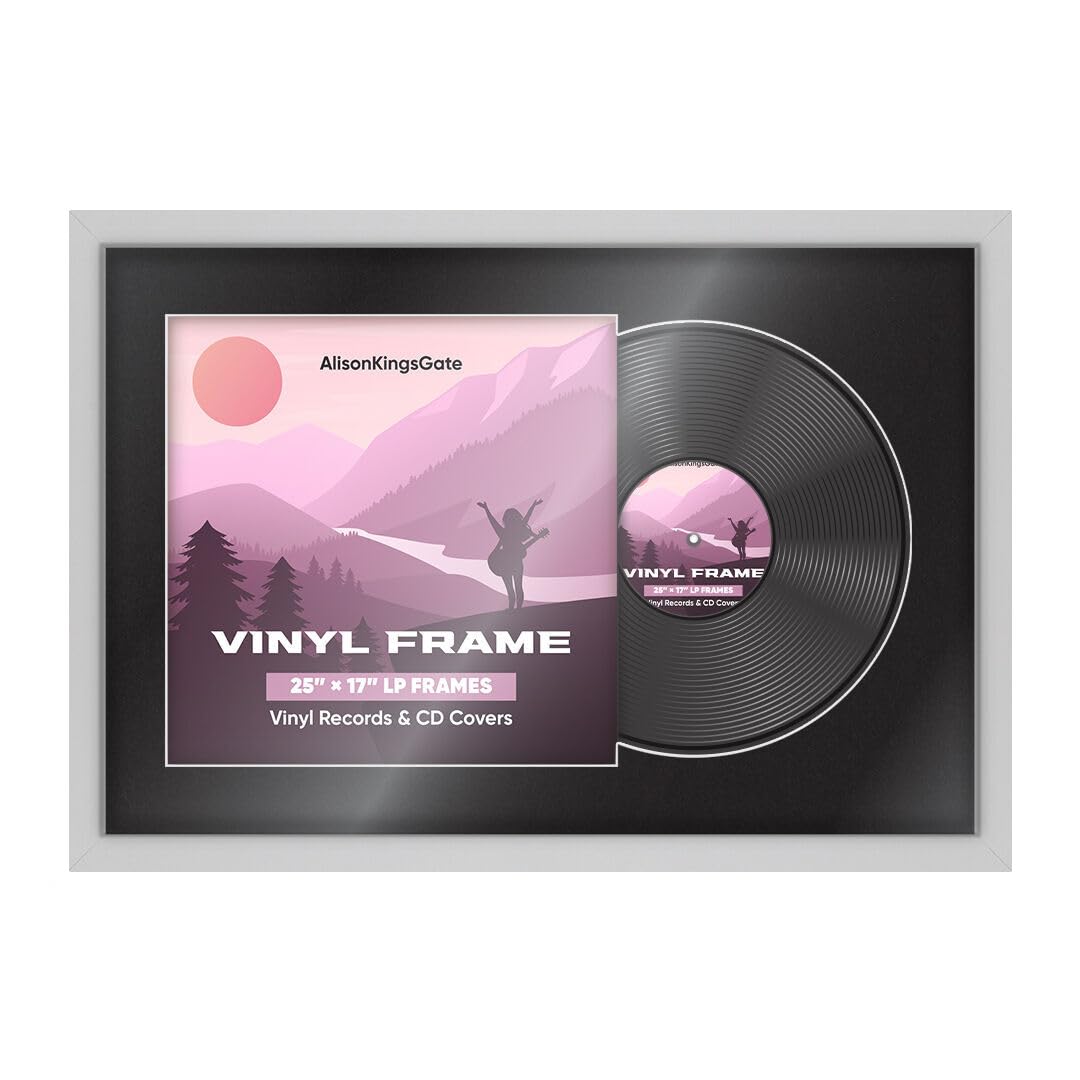 Alison Kingsgate 25x17 Silver Vinyl Record Frame for LP & Album