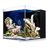 Coralland 8-Gallon Saltwater Aquarium - Ultra Clear Low Iron Glass, 45° Angled Joint Design, Crystal Clear Viewing, Perfect for Marine Fish & Reef Tanks & Freshwater