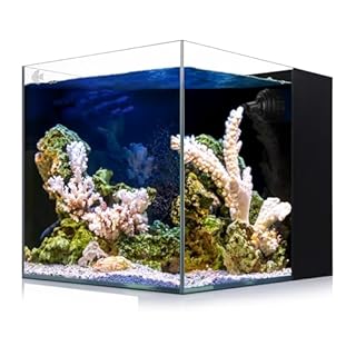Coralland 8-Gallon Saltwater Aquarium - Ultra Clear Low Iron Glass, 45° Angled Joint Design, Crystal Clear Viewing, Perfect for Marine Fish & Reef Tanks & Freshwater