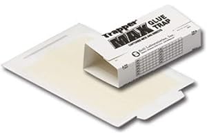 Glue Traps: Effective Pest Control for Your Home