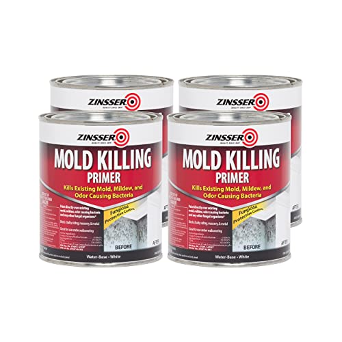 The 8 Best Paints For Bathroom Ceiling To Prevent Mold