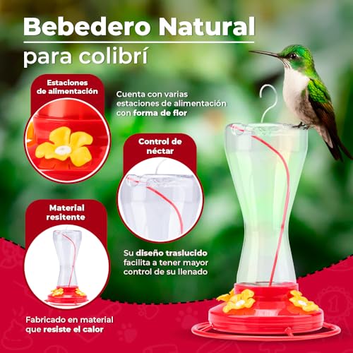 El Mejor Listado de Bebedero para colibri que Puedes Comprar On-line. 3 El Mejor Listado de Bebedero para colibri que Puedes Comprar On-line. 3