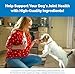 Nutramax - COSEQUIN Joint Health Supplement for Dogs, Maximum Strength - Joint Support - with Glucosamine and Chondroitin, MSM, and Hyaluronic Acid - for Dogs, 250 Chewable Tablets