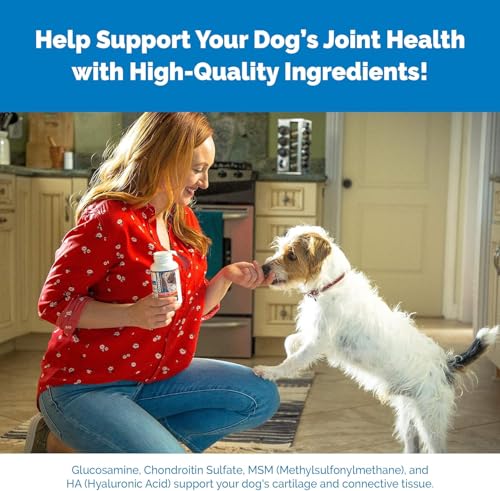 Nutramax - COSEQUIN Joint Health Supplement for Dogs, Maximum Strength - Joint Support - with Glucosamine and Chondroitin, MSM, and Hyaluronic Acid - for Dogs, 250 Chewable Tablets