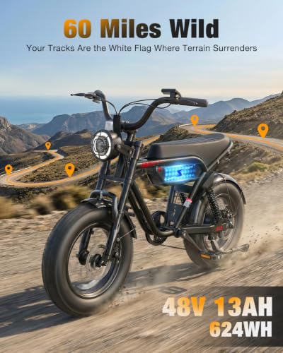 Hopepeak D10 Fat Tire E-Bike