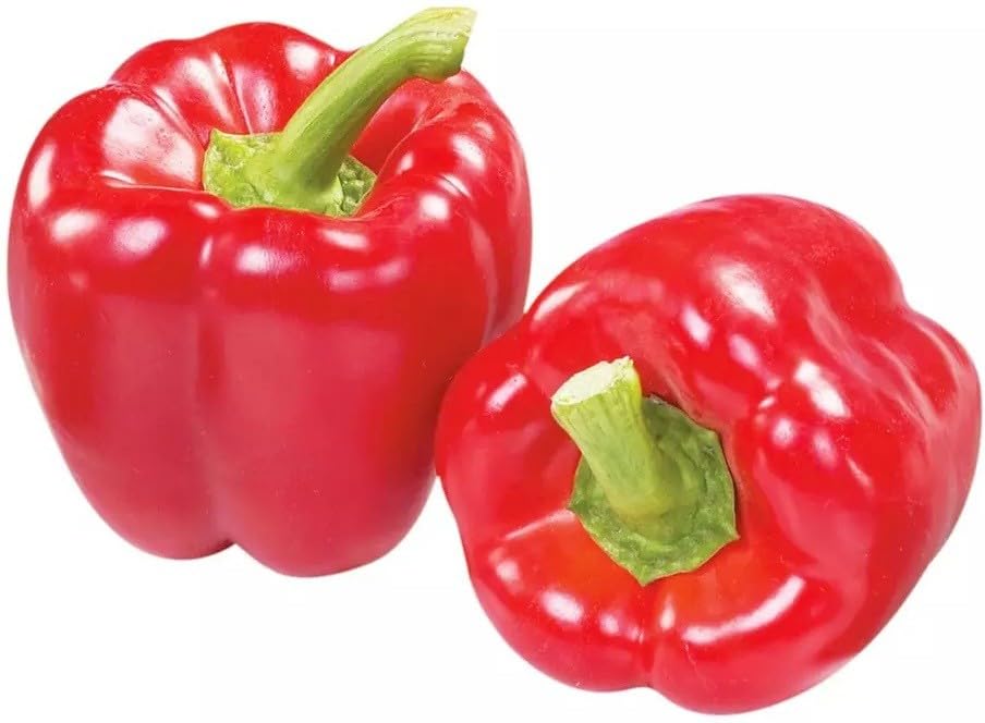 Willvine Organic Red Bell Pepper Capsicum-XLR-2L-image-14