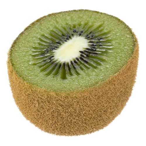 {Tv(Nihon Sample)HiTv LEC ʕ Jbg 50×38×55mm EJ28241/3106