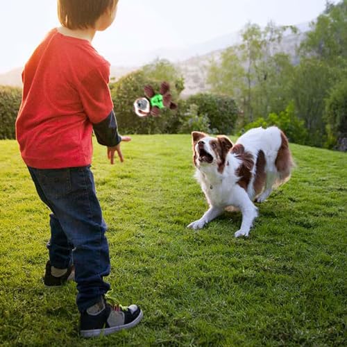 Juguete mordible y sonoro de peluche para perros miniatura 6