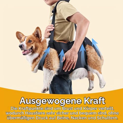 Hundeliftgeschirr, Haustierunterstützung Hund Lift Support für Hunde, Rehabilitation Geschirr Mobilität Sling für Alt, Gelenkverletzungen, Arthritis, Stabilitätsverlust Hunde, Schwarz (L)