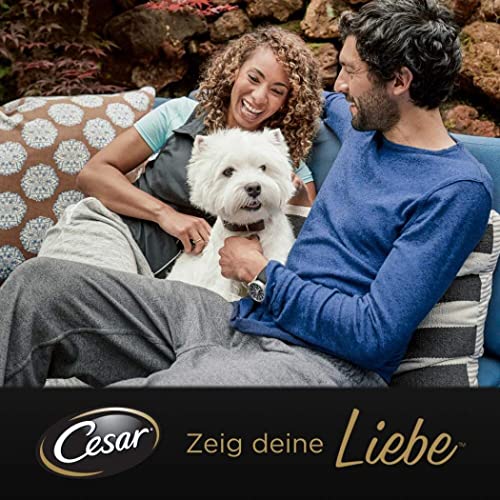 Cesar Hundefutter Nassfutter Landküche Kalb & Truthahn, 7 er Pack, (7 x 2 Schalen x 150 g)